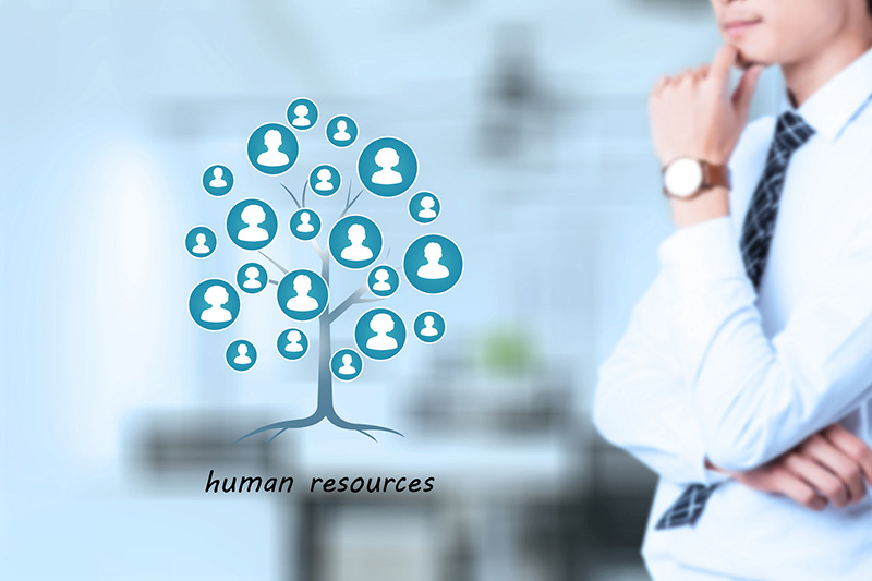 knowledge map construction